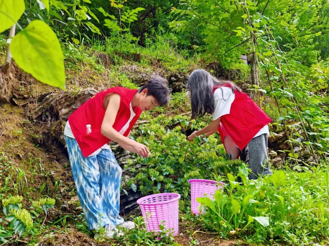 贵州工程职业学院在务川开展“三下乡”社会实践活动(图1)