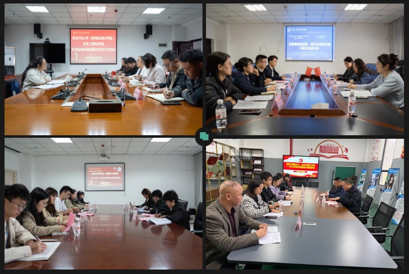 贵州开放大学（贵州职业技术学院）与贵州工程职业学院开展党建工作结对共建调研座谈(图3)